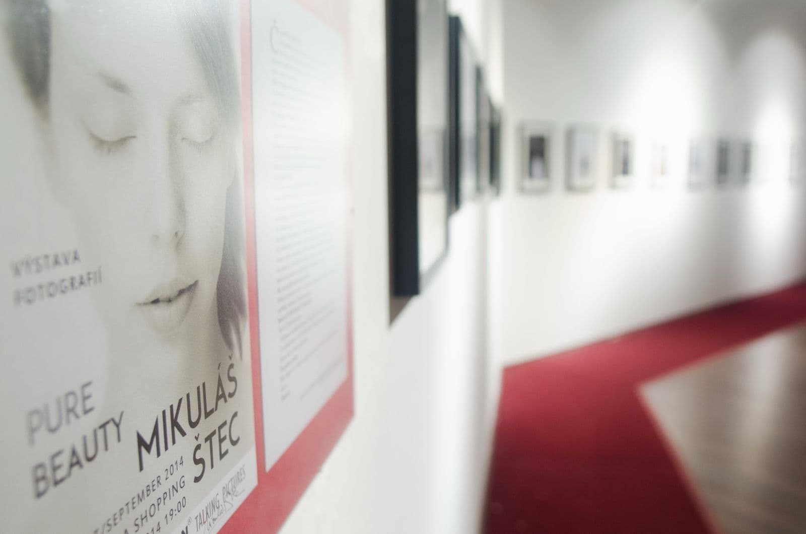Pure Beauty exhibition, 2014