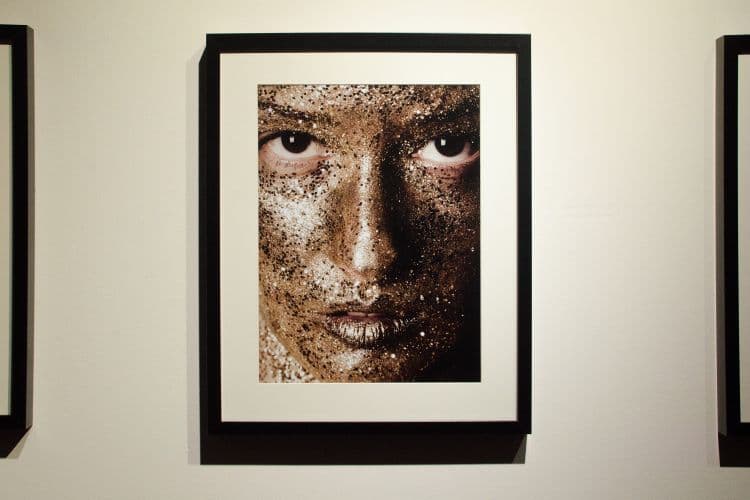 Pure Beauty exhibition, 2014