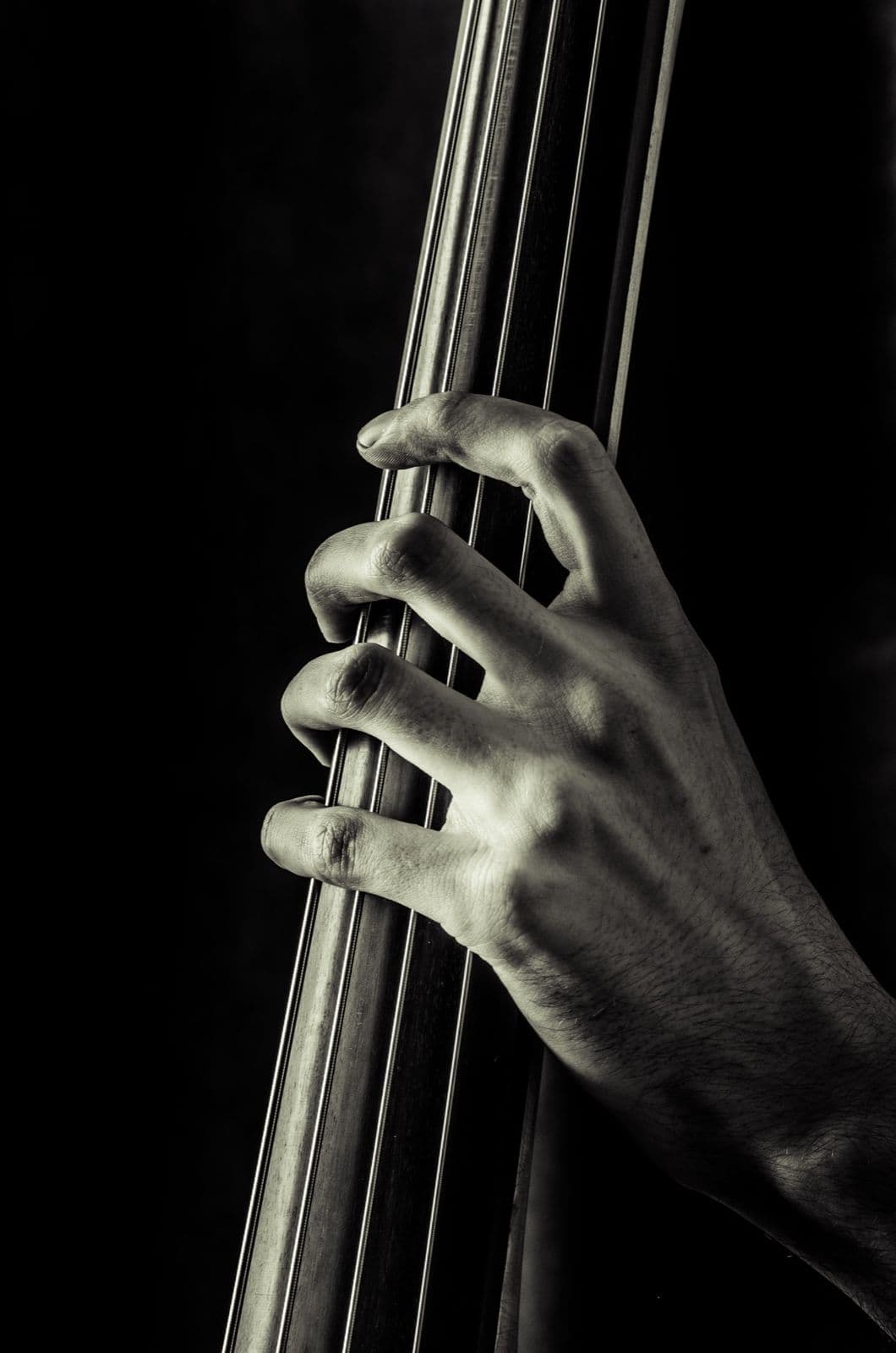 Hand on the strings of a double bass